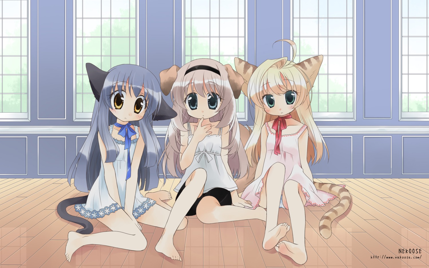 animal_ears, bike_shorts, feet, inumimi, nekomimi, nekono_osero, pantsu, tail, wallpaper