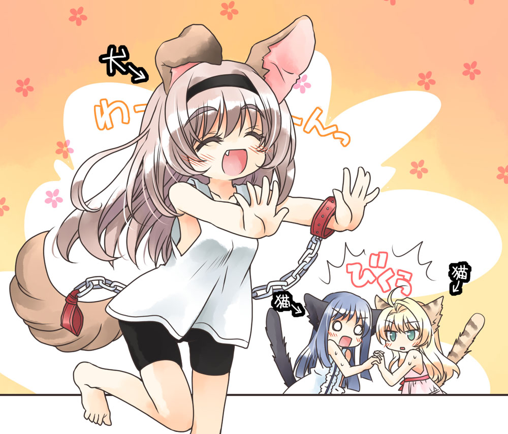 animal_ears, bike_shorts, inumimi, nekomimi, nekono_osero, tail