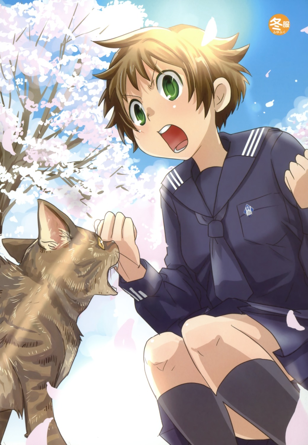 fujimori_yuyukan, neko, seifuku