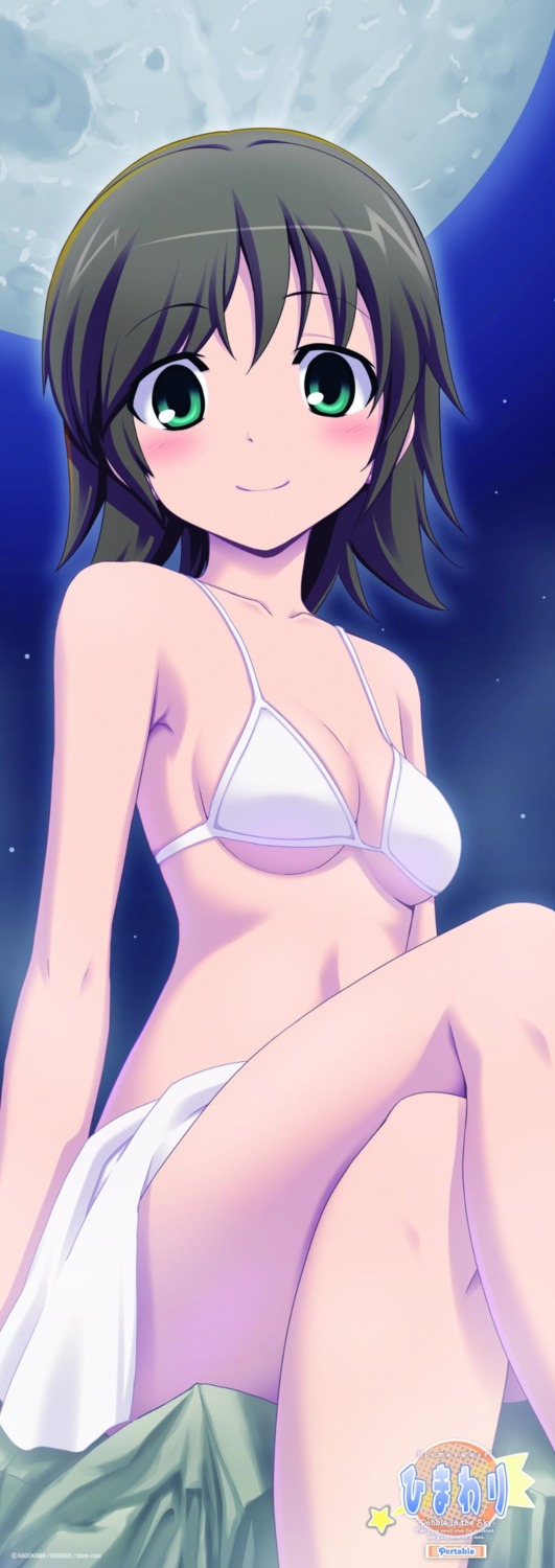 bikini, himawari_(blank-note), saionji_asuka, stick_poster, swimsuits, tatsukichi