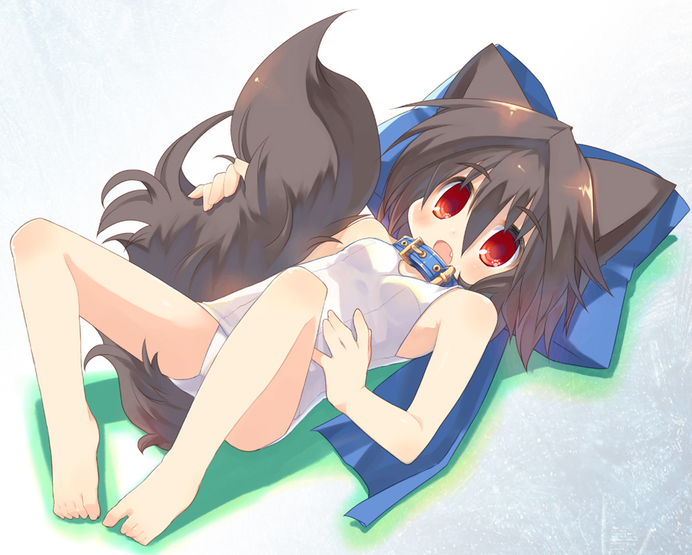 animal_ears, inumimi, school_swimsuit, swimsuits, tail, toba_hiyoko