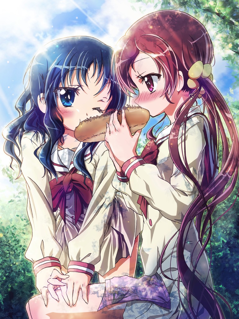 hanasaki_tsubomi, heartcatch_precure!, inoshishi, kurumi_erika, precure, seifuku