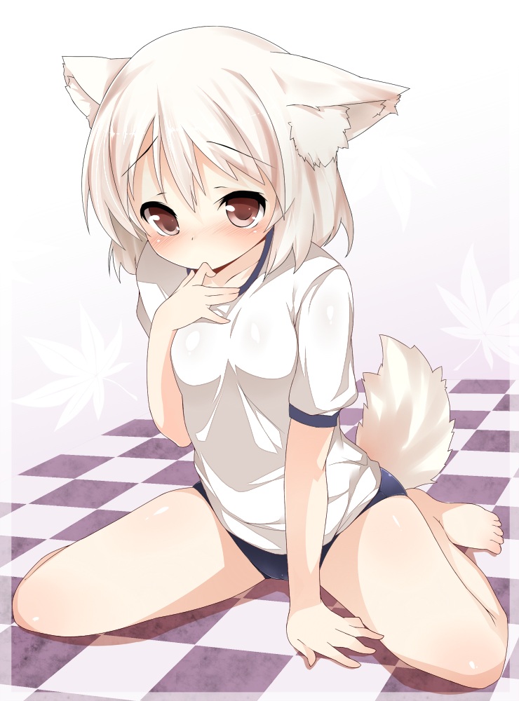 animal_ears, buruma, gym_uniform, inubashiri_momiji, tail, tera_zip, touhou