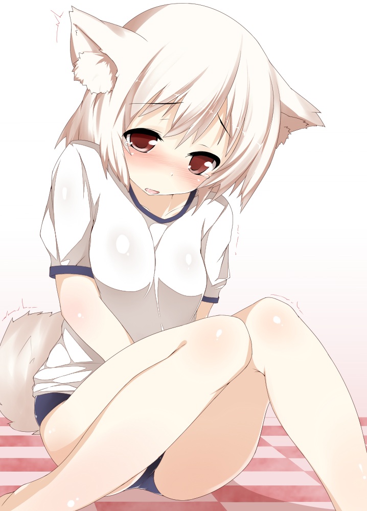 animal_ears, buruma, gym_uniform, inubashiri_momiji, tail, tera_zip, touhou