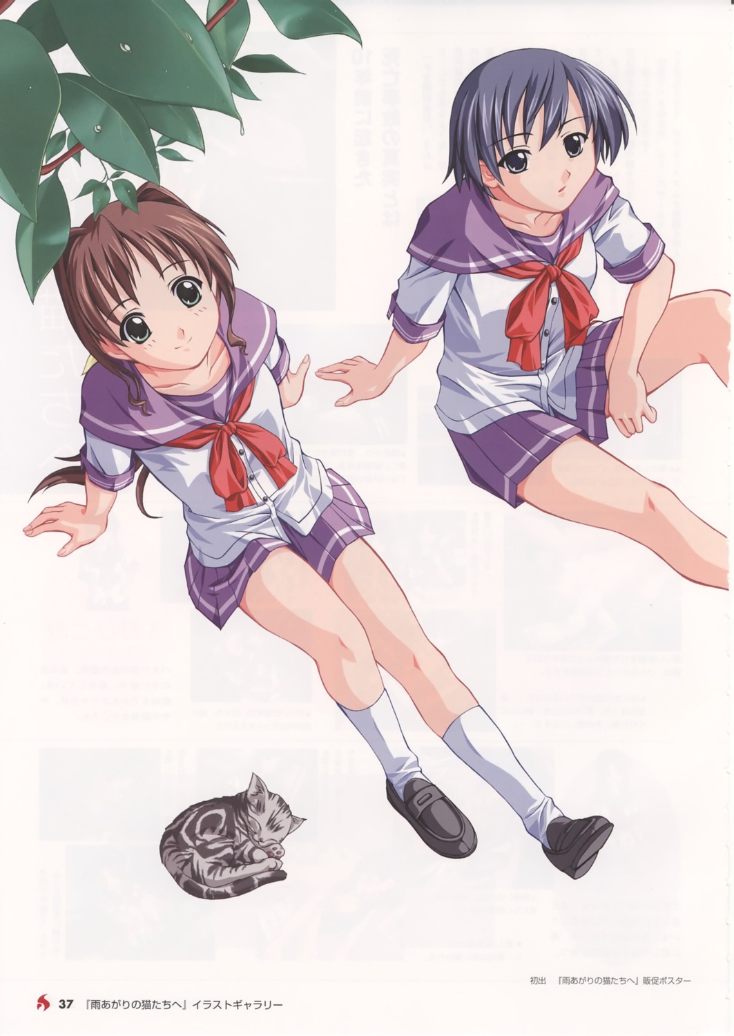ame_agari_no_neko_tachi_e, bleed_through, hook, neko, seifuku