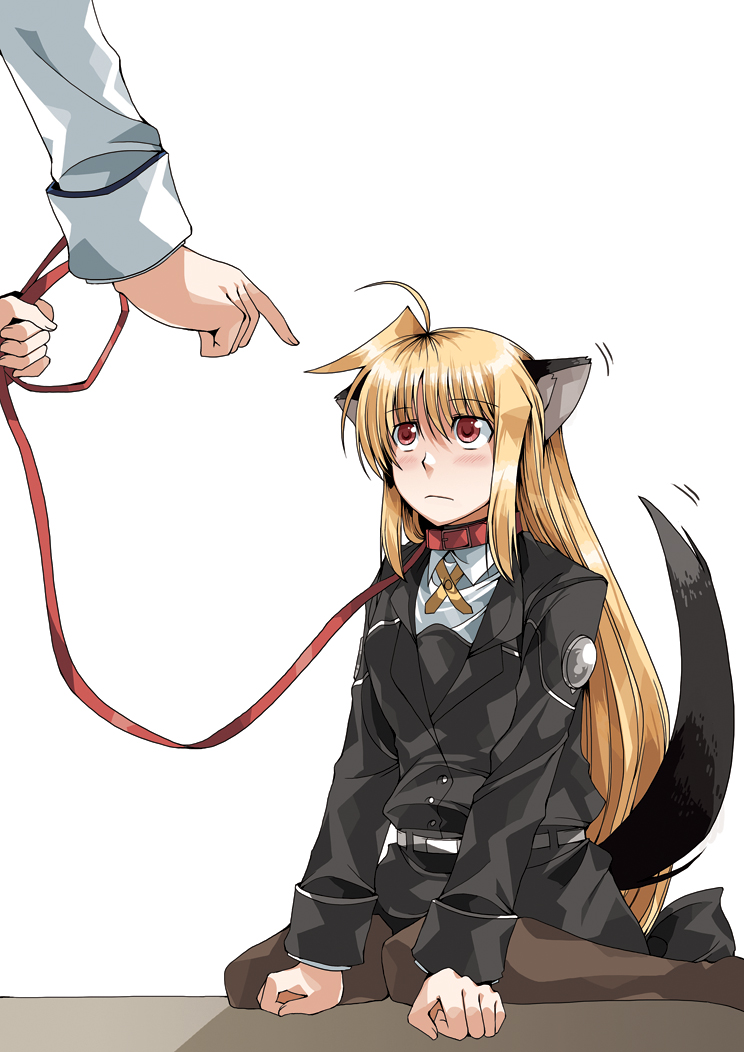 animal_ears, clipe, fate_testarossa, mahou_shoujo_lyrical_nanoha, mahou_shoujo_lyrical_nanoha_strikers, pantyhose, tail, uniform