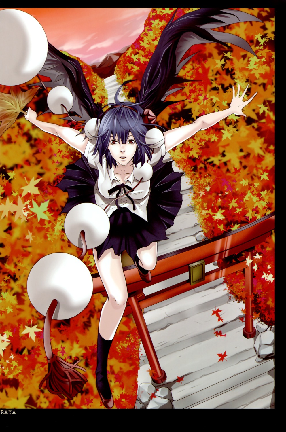 araya, kyokutou_hanayome, shameimaru_aya, touhou, wings