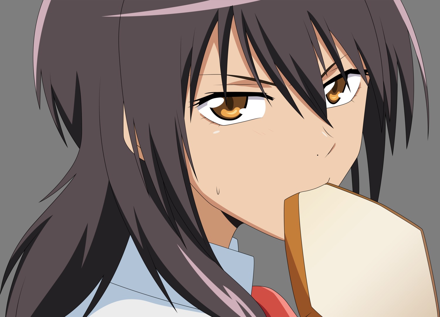 ayuzawa_misaki, kaichou_wa_maid-sama!, transparent_png, vector_trace