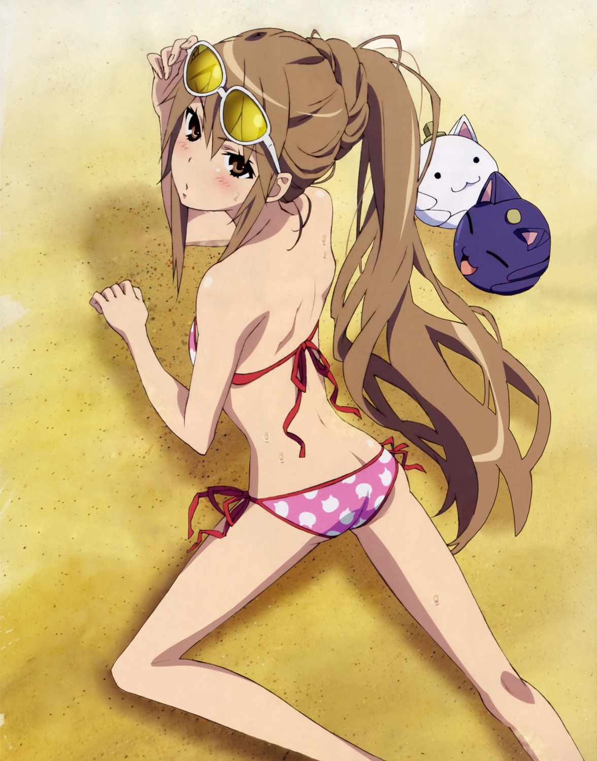 ass, bikini, detexted, kobayashi_emiko, megane, neko, ookami-san, ookami_ryouko