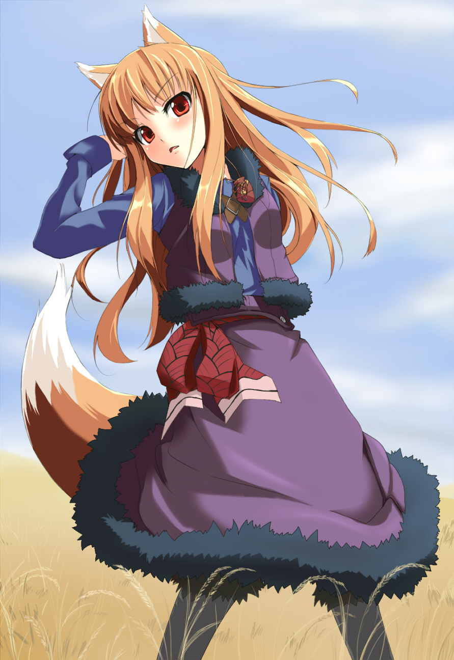 animal_ears, grune_(artist), holo, spice_and_wolf, tail