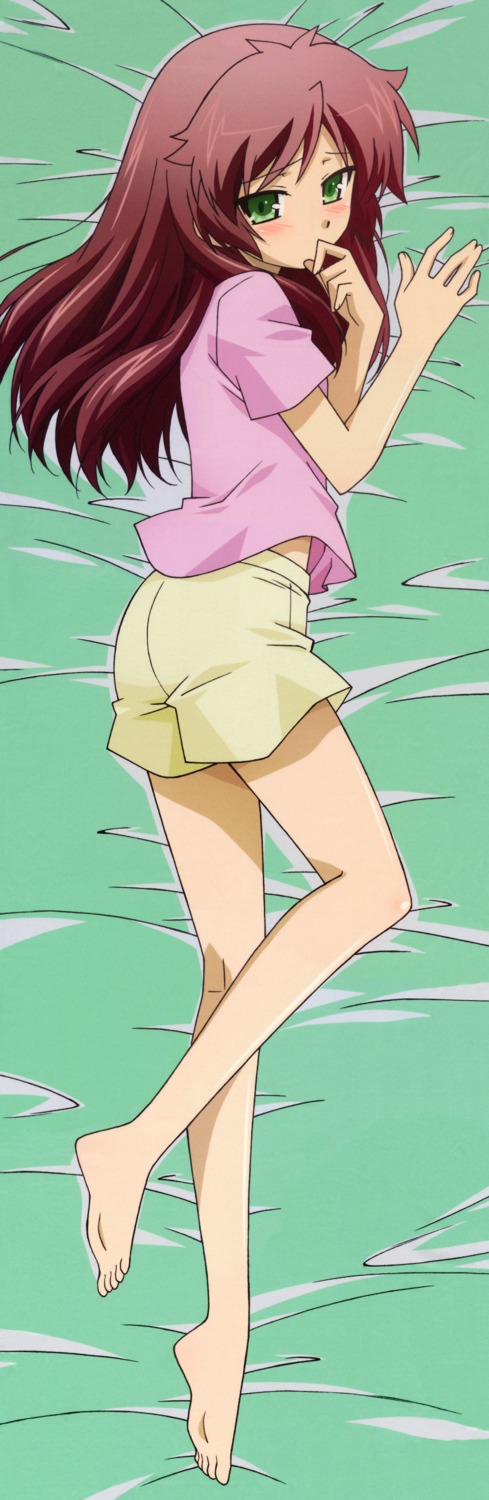 baka_to_test_to_shoukanjuu, dakimakura, fixed, shimada_minami