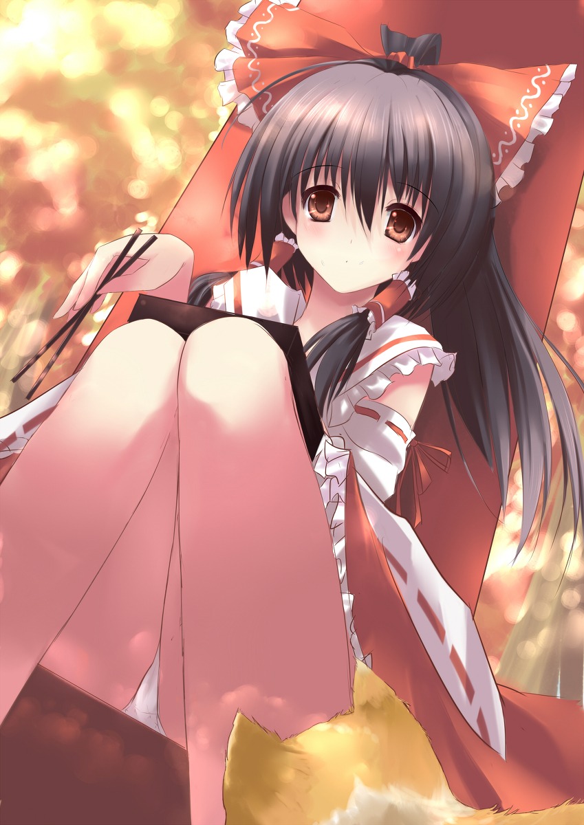dreamlight2000, hakurei_reimu, miko, neko, pantsu, touhou