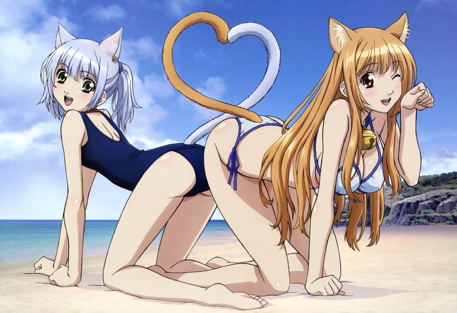 animal_ears, asobi_ni_iku_yo!, bikini, chaika, cleavage, eris, nekomimi, saitou_masakazu, school_swimsuit, swimsuits, tail