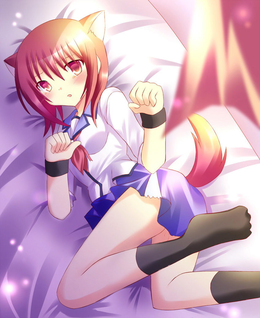 angel_beats!, animal_ears, iwasawa_masami, kamioto_musu, seifuku, tail