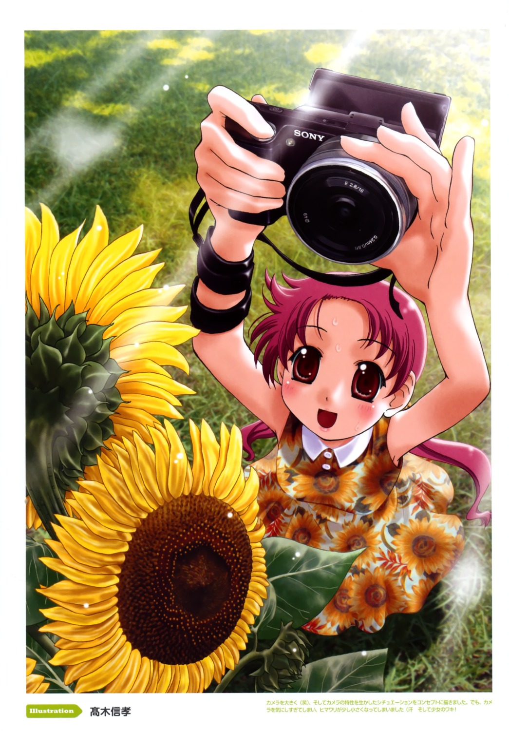 color_issue, dress, summer_dress, takagi_nobuyuki