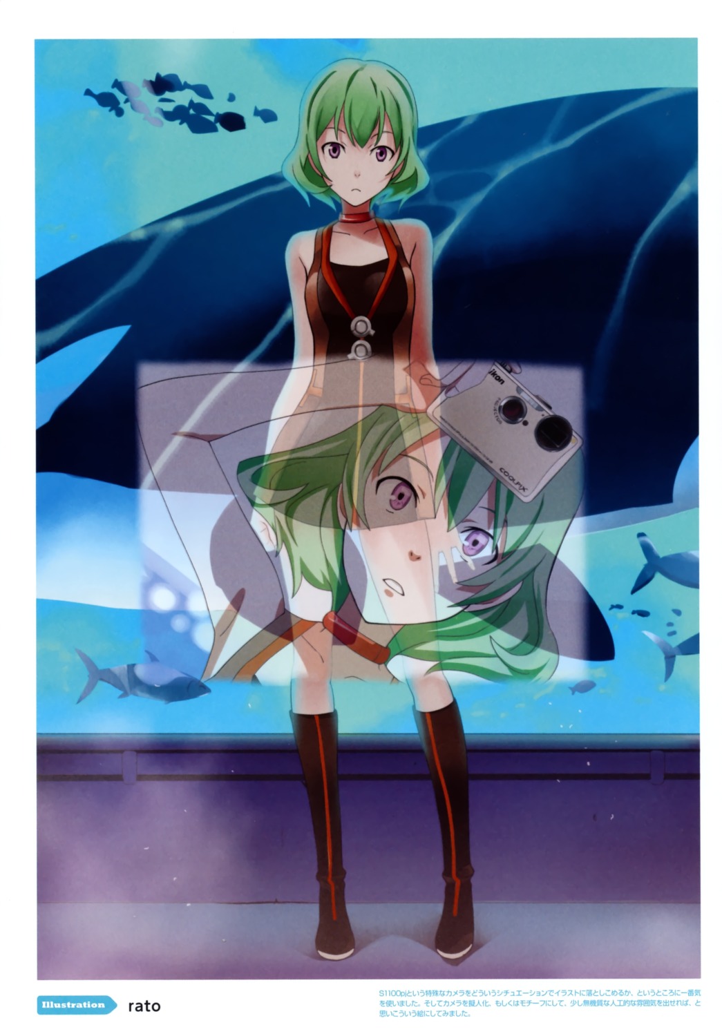color_issue, rato