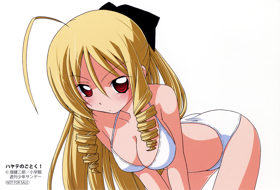 bikini, cleavage, hata_kenjirou, hayate_no_gotoku, swimsuits, tennousu_athena