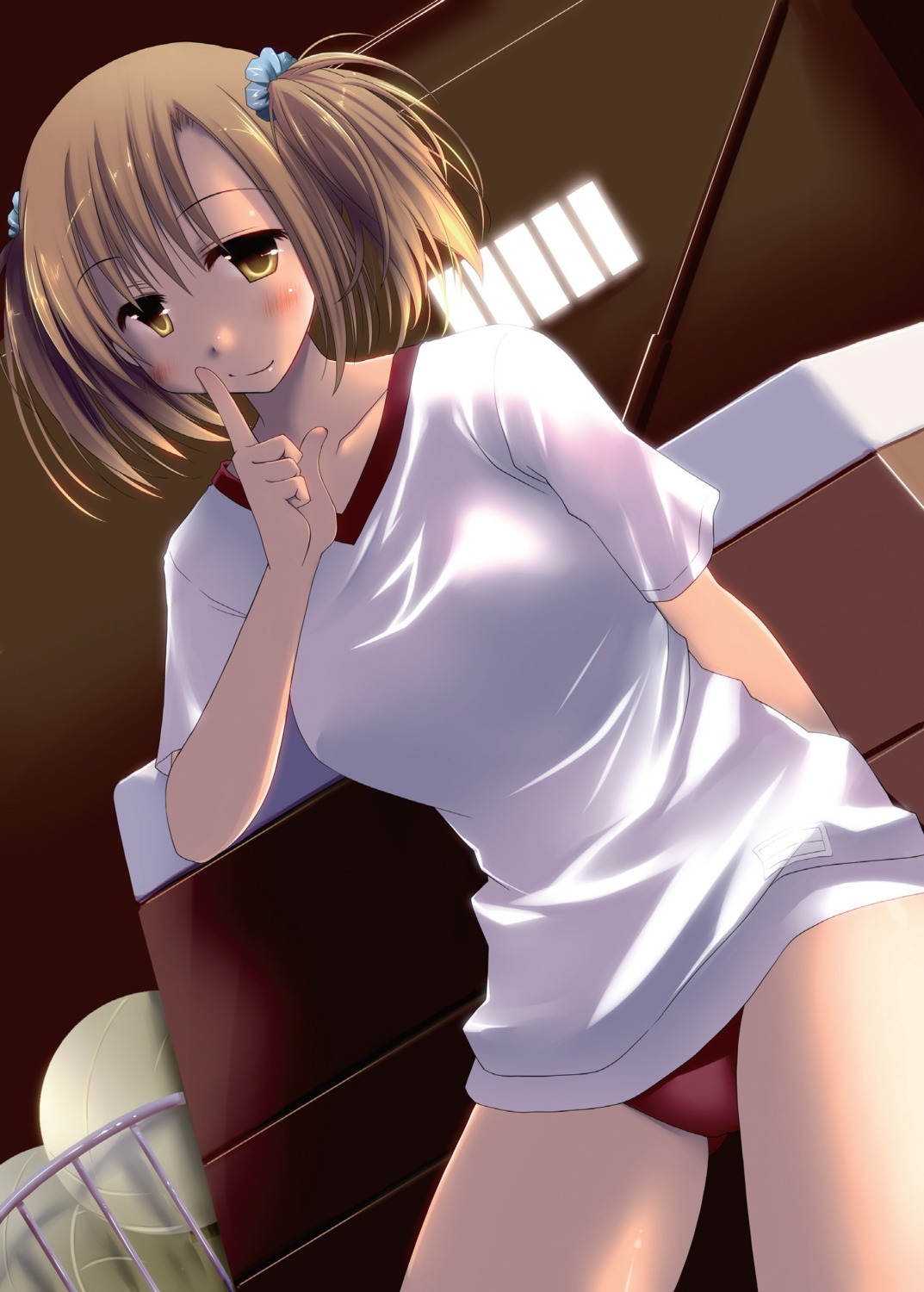 buruma, gym_uniform, ponkotsu_works