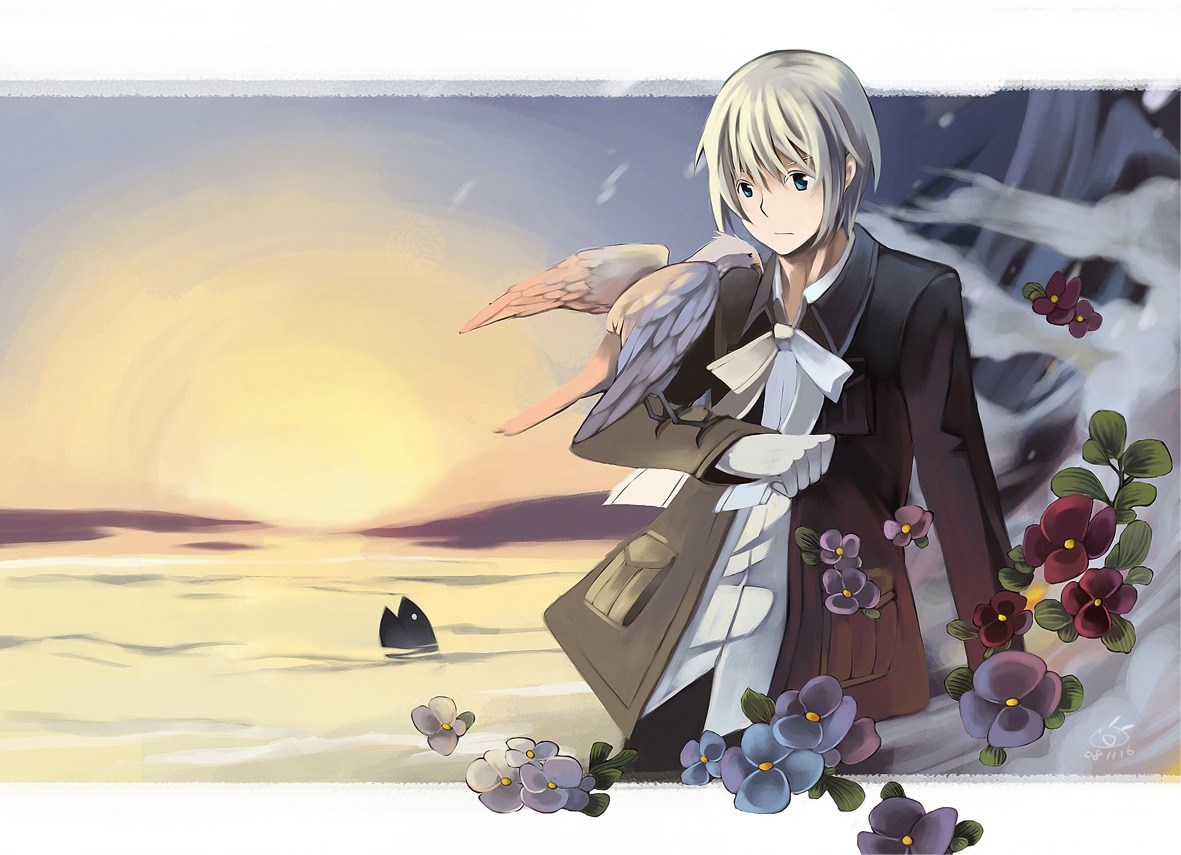 chuusa, hetalia_axis_powers, iceland, male
