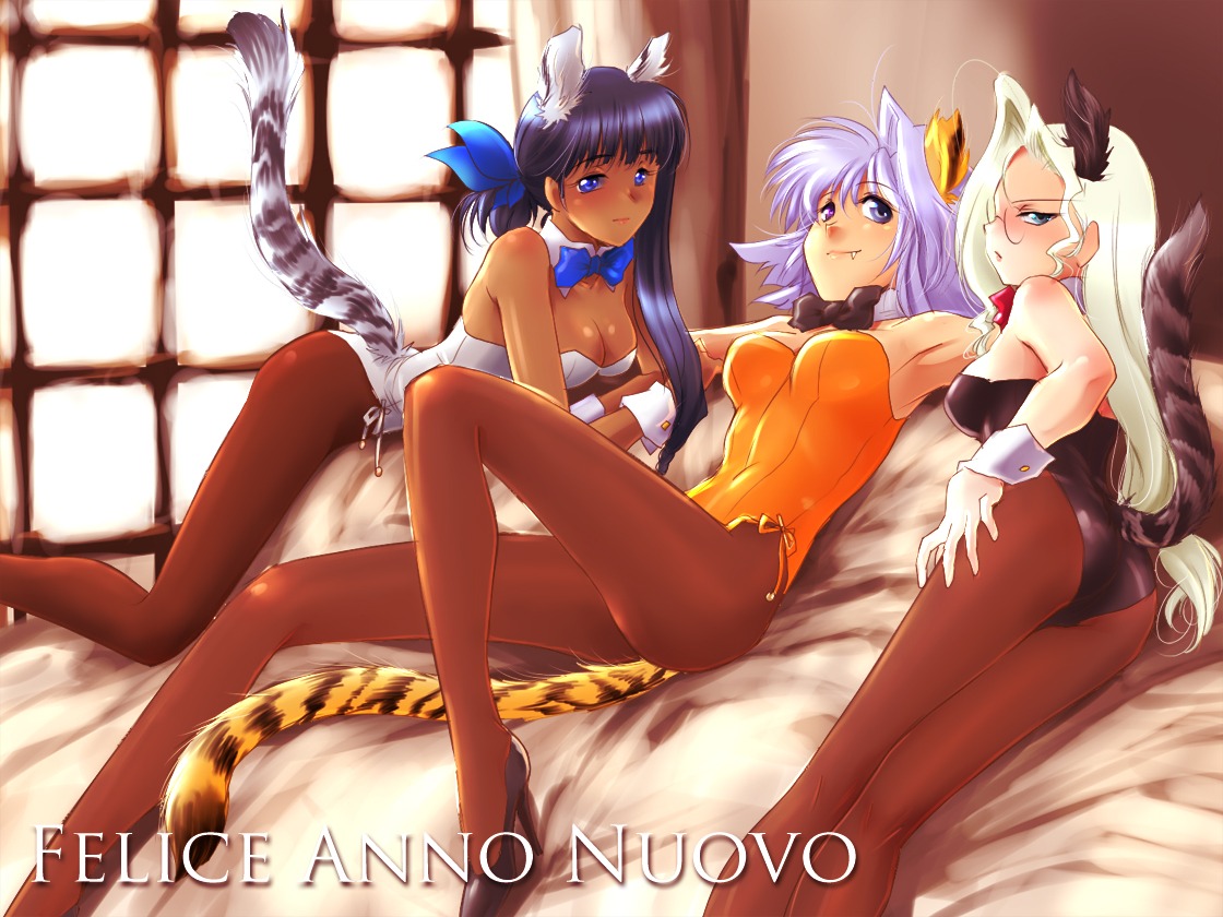 animal_ears, cleavage, megane, pantyhose, tail, yagisaka_seto
