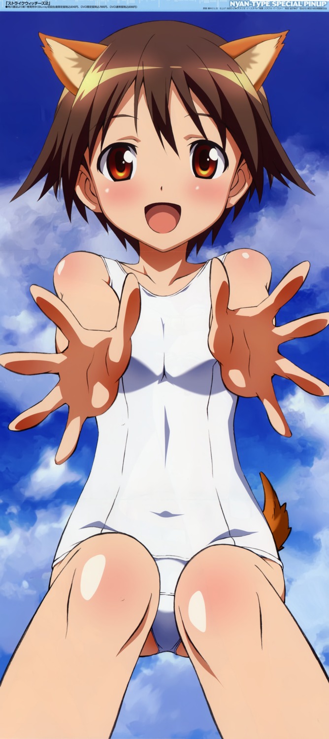 animal_ears, crease, fixme, fujimoto_satoru, miyafuji_yoshika, school_swimsuit, stick_poster, strike_witches