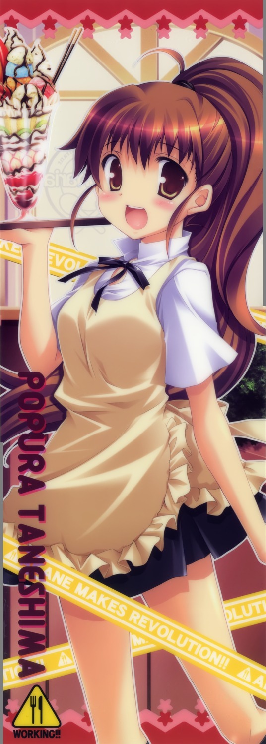 akane_makes_revolution, ikegami_akane, scanning_artifacts, scanning_dust, stick_poster, taneshima_poplar, waitress, working!!