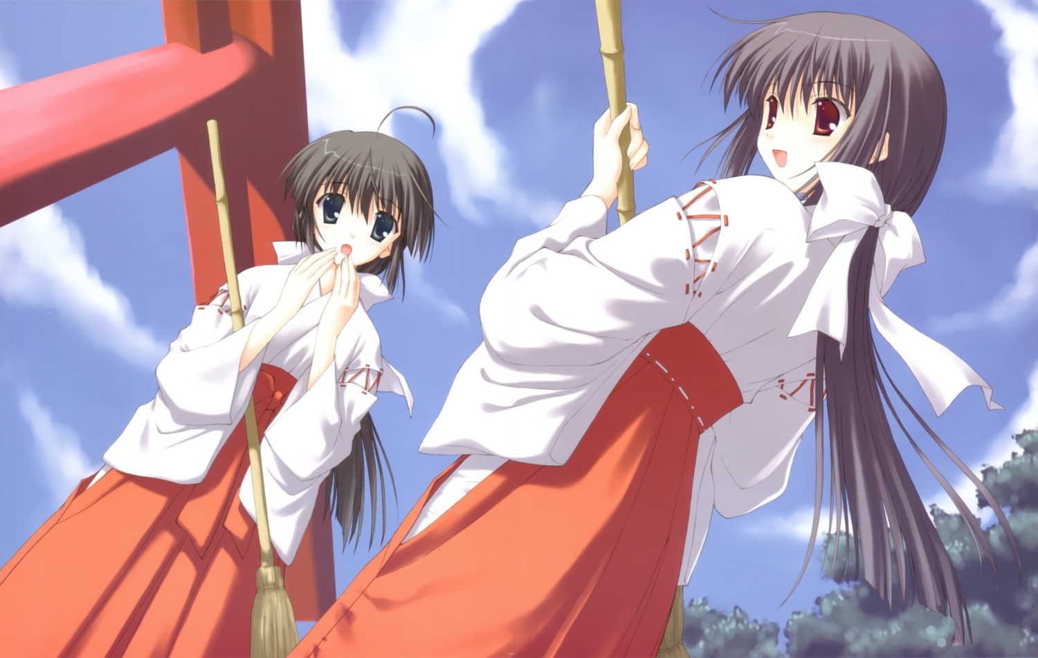 miko, nanao_naru, shirakawa_sayaka, suika