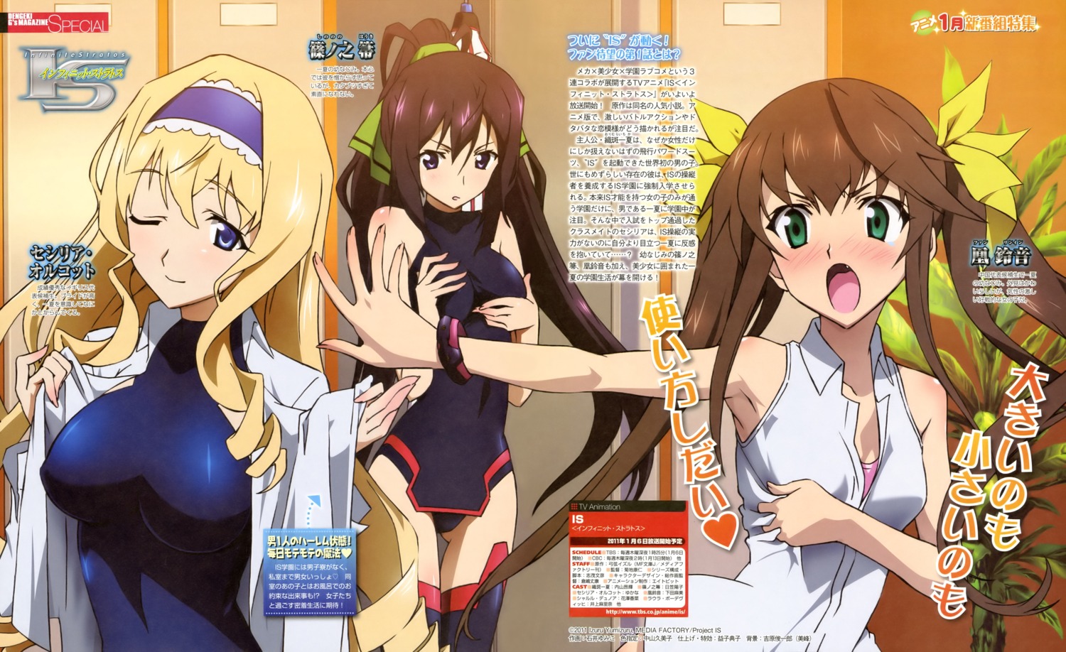 bodysuit, cecilia_alcott, huang_lingyin, infinite_stratos, ishii_yumiko, shinonono_houki, undressing