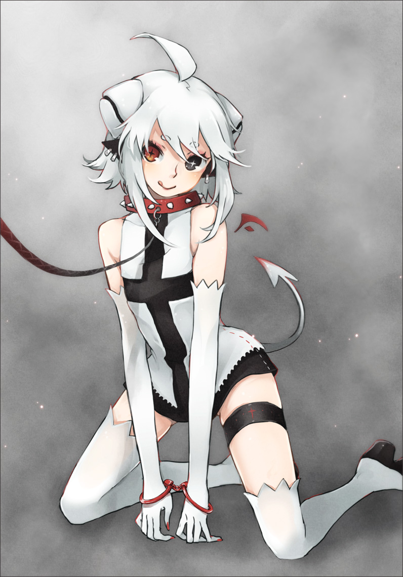garter, heterochromia, reika_(clovia_studio), tail, thighhighs