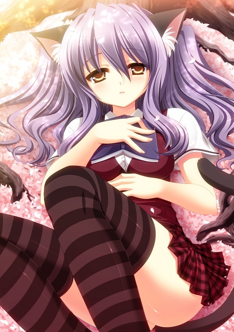 animal_ears, nekomimi, tail, thighhighs, yukizuki_chikuba