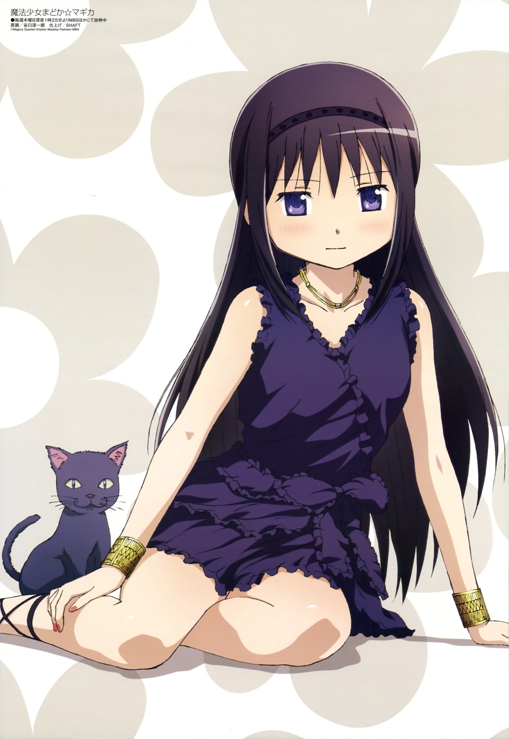 akemi_homura, amy_(madomagi), dress, mahou_shoujo_madoka_magica, neko, taniguchi_junichirou