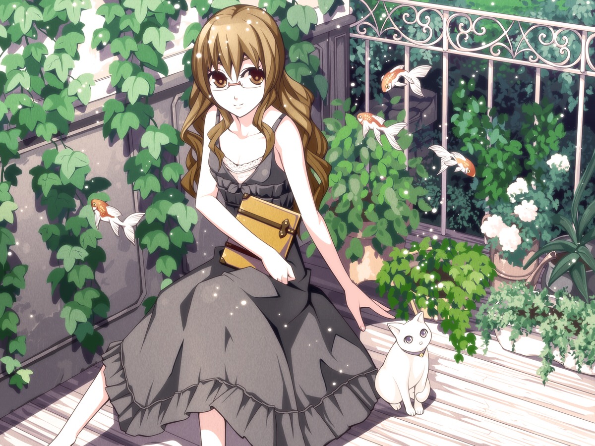 dress, megane, neko, torigoe_takumi