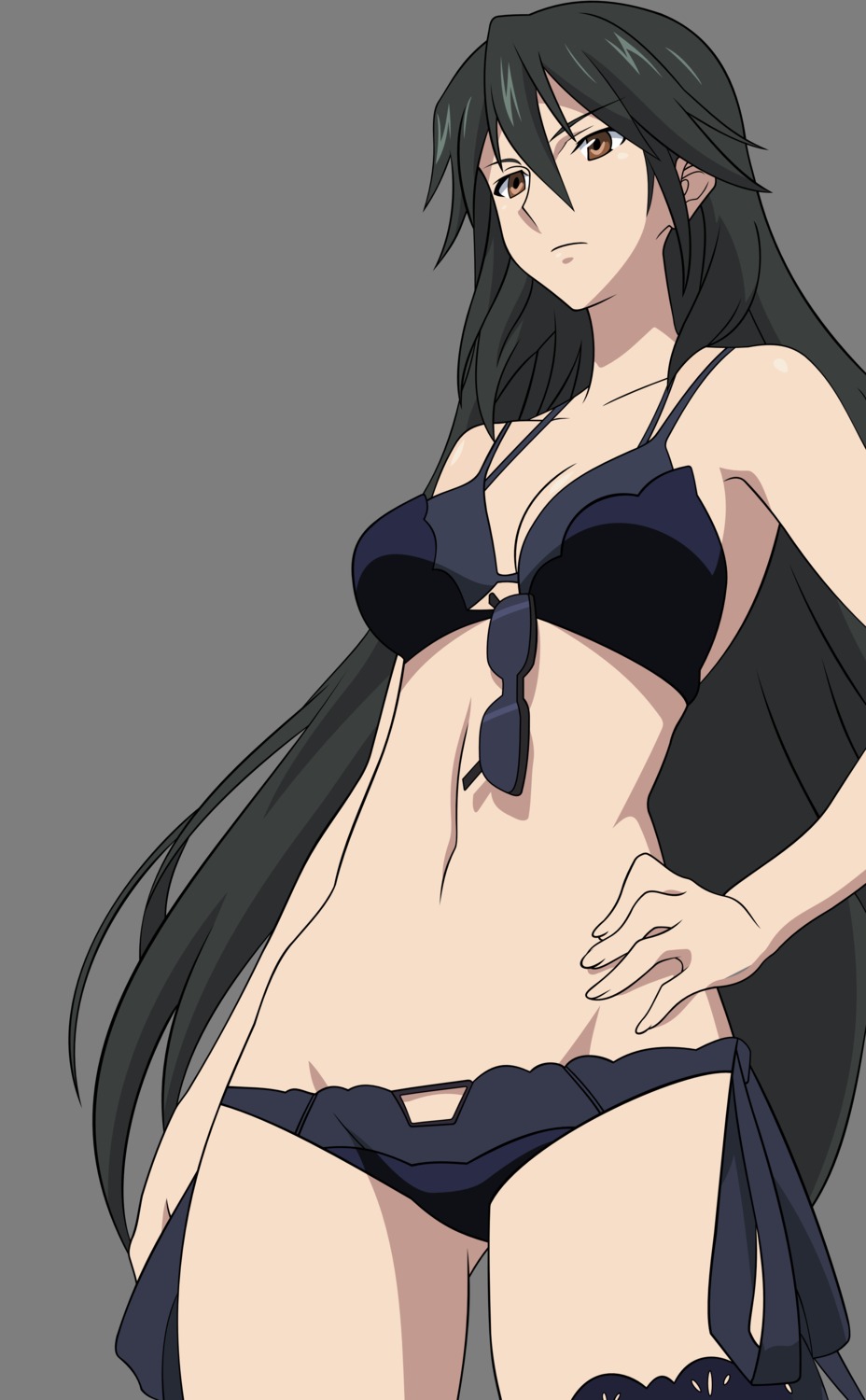 bikini, cleavage, infinite_stratos, orimura_chifuyu, swimsuits, transparent_png, vector_trace