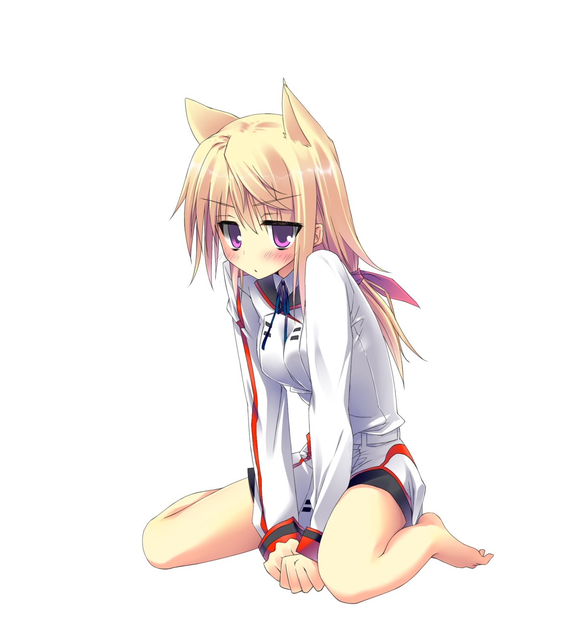animal_ears, charlotte_dunois, infinite_stratos, ite_fuji, seifuku