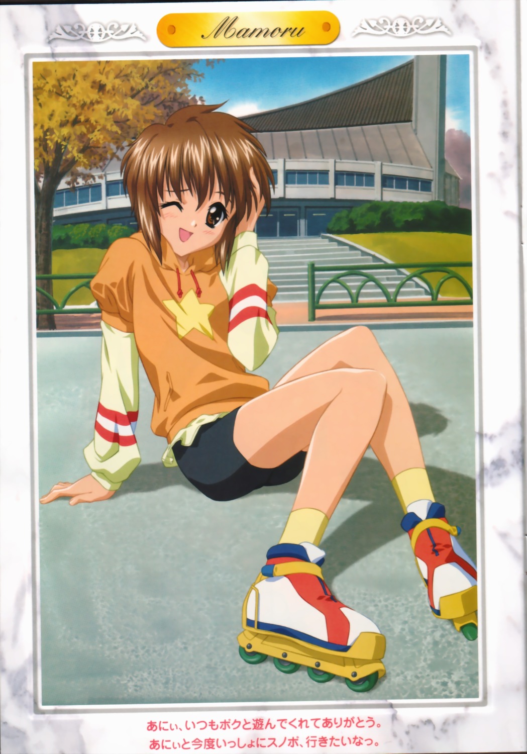 mamoru, sister_princess