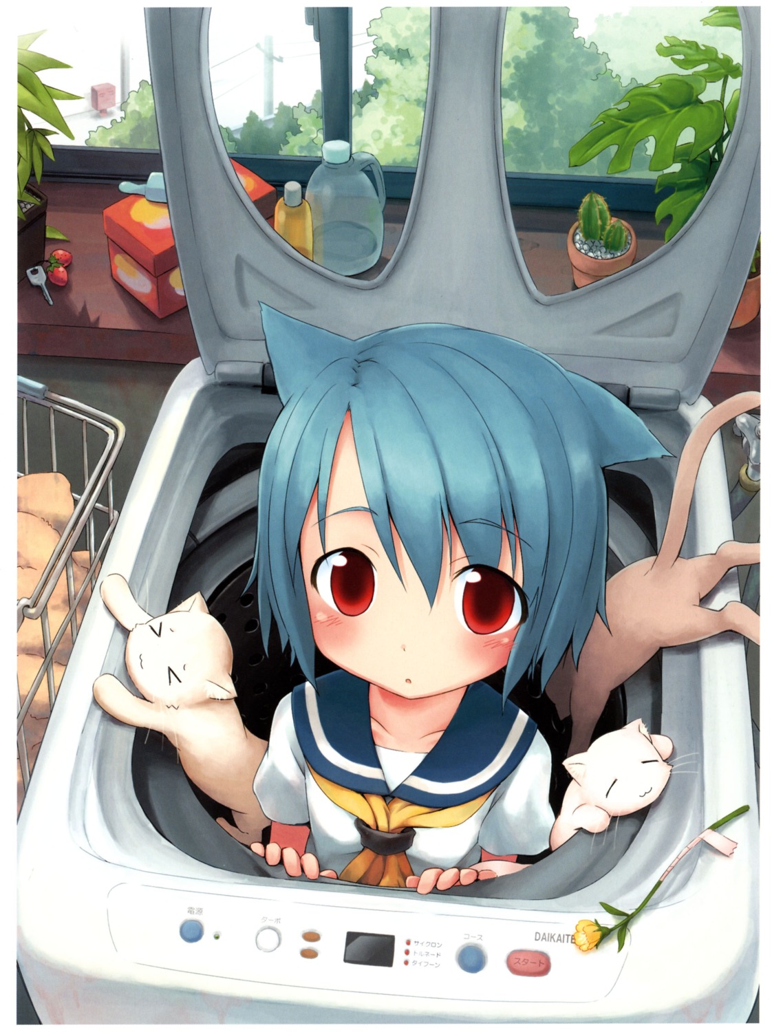 aikei_ake, animal_ears, neko, nekomimi, seifuku