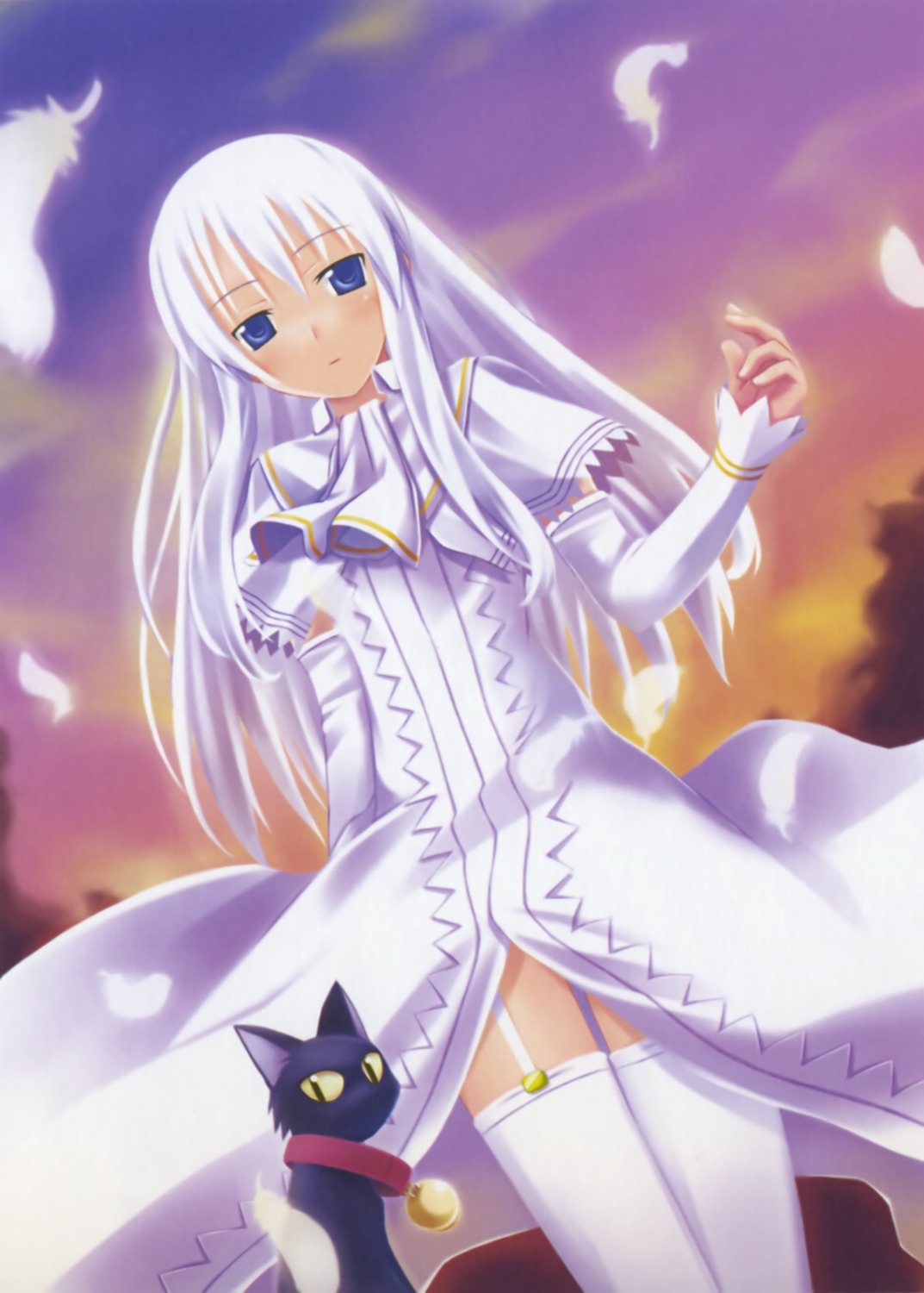 garter_belt, momo, nanakusa, neko, shinigami_no_ballad, stockings, thighhighs