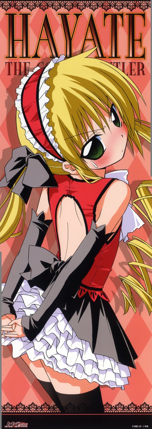 hata_kenjirou, hayate_no_gotoku, maid, sanzenin_nagi, stick_poster, thighhighs