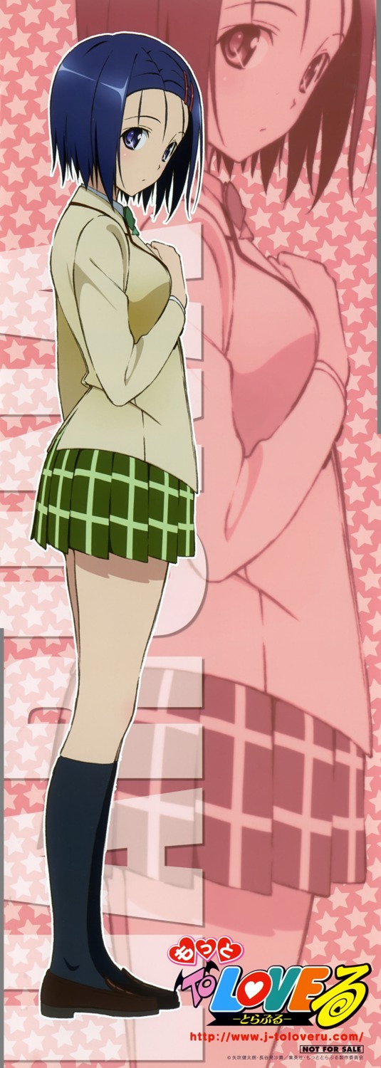 oka_yuuichi, sairenji_haruna, seifuku, stick_poster, to_love_ru