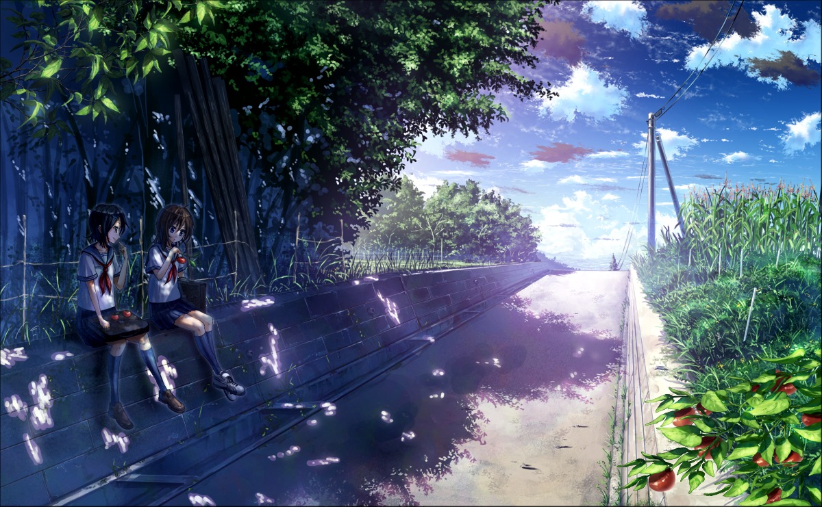 bokuden, landscape, seifuku