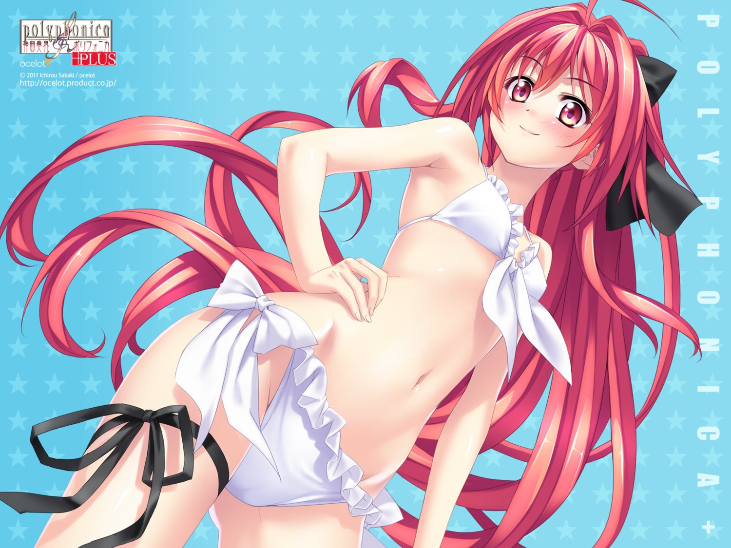 bikini, corticarte_apa_lagranges, garter, kannatsuki_noboru, ocelot, shinkyoku_soukai_polyphonica, swimsuits, wallpaper