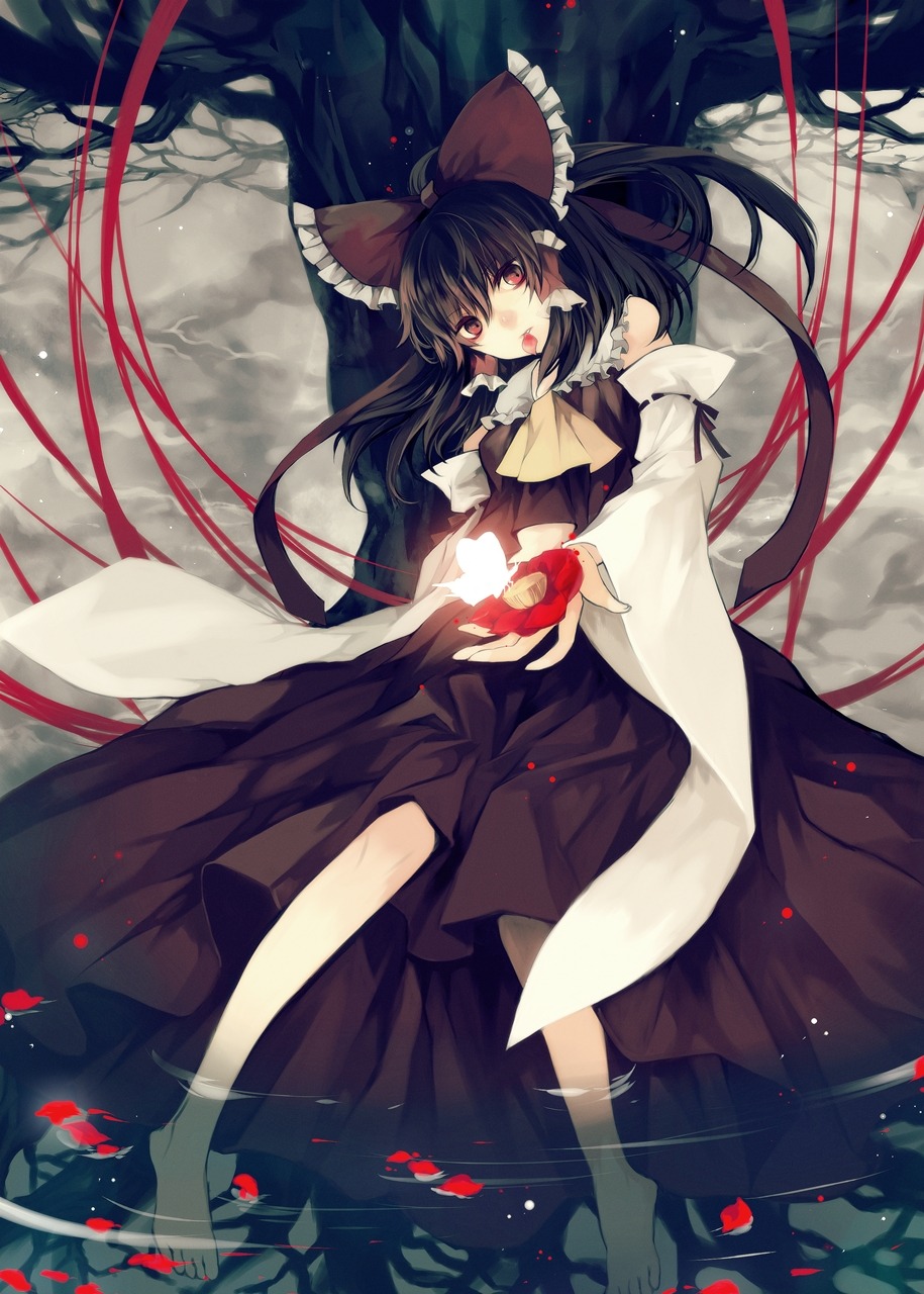 hakurei_reimu, hina, touhou