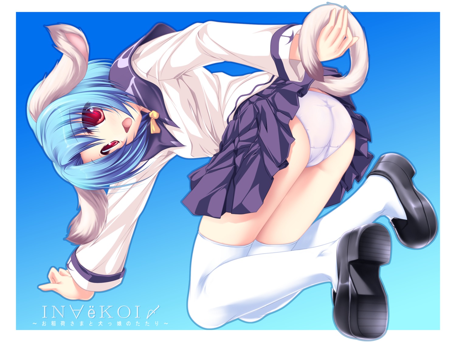 animal_ears, haruhi_sarasa, inakoi, pantsu, tenmaso, wallpaper, whirlpool