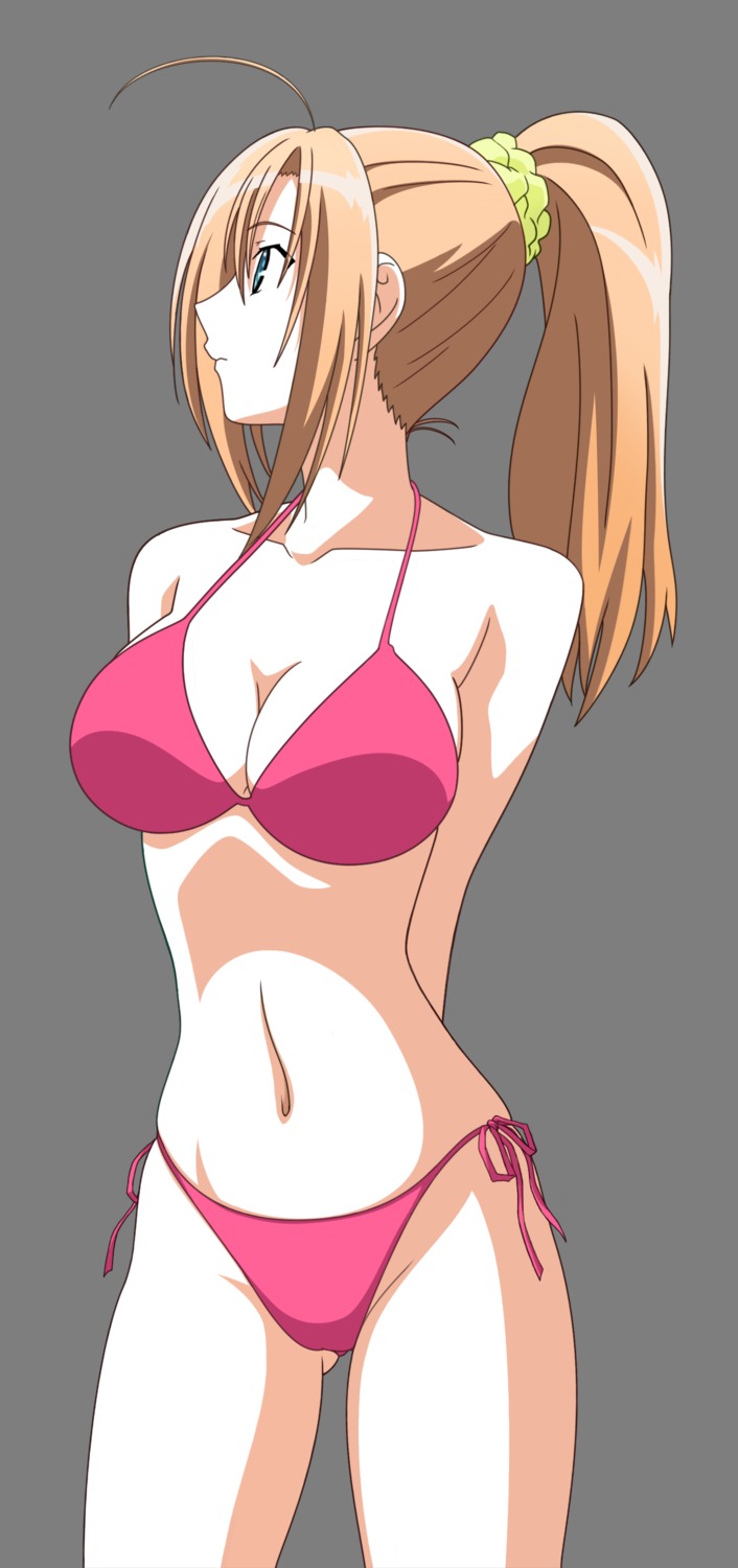 bikini, cleavage, kämpfer, sakura_kaede, swimsuits, transparent_png, vector_trace