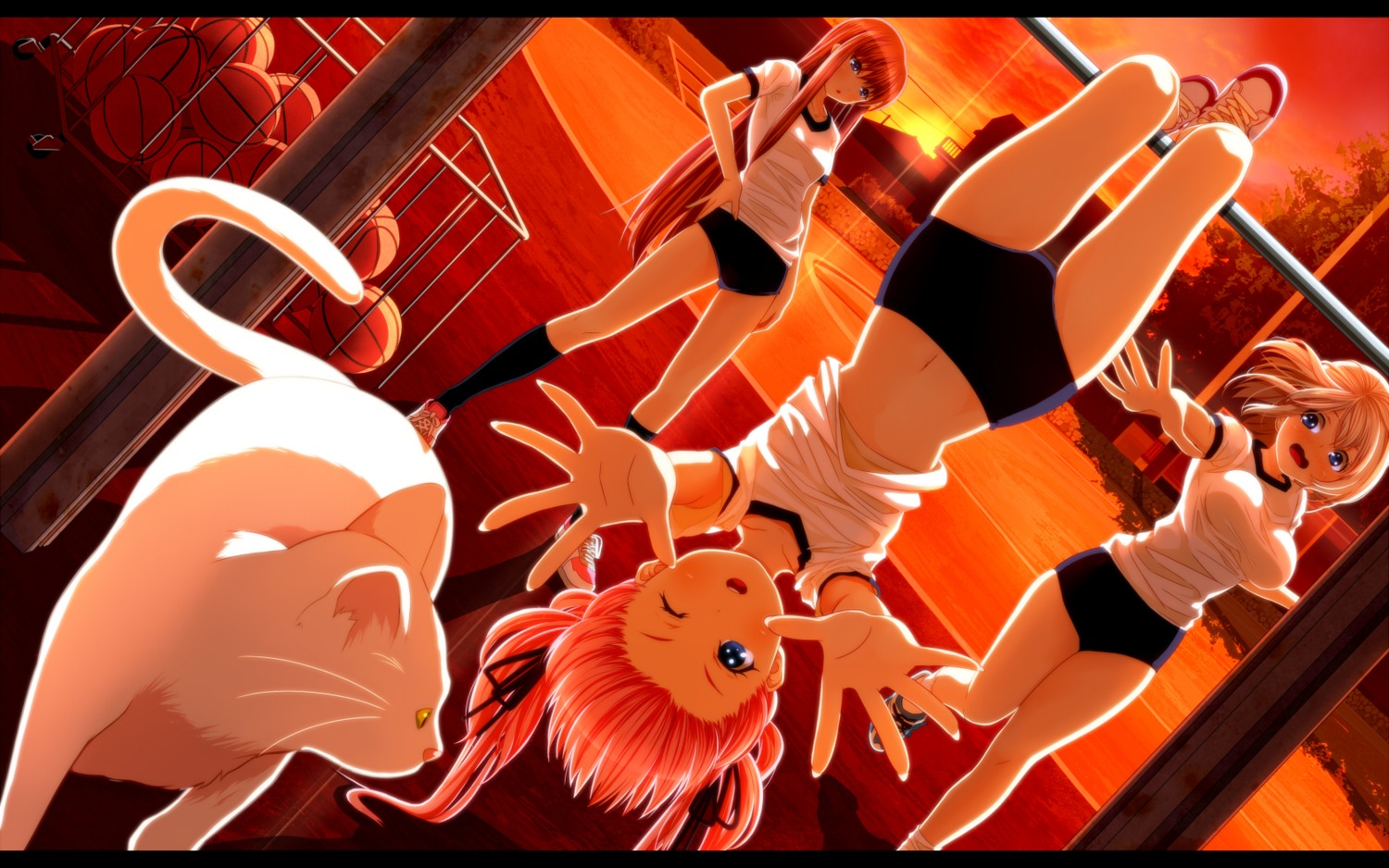 buruma, gym_uniform, neko, tsukumo, wallpaper