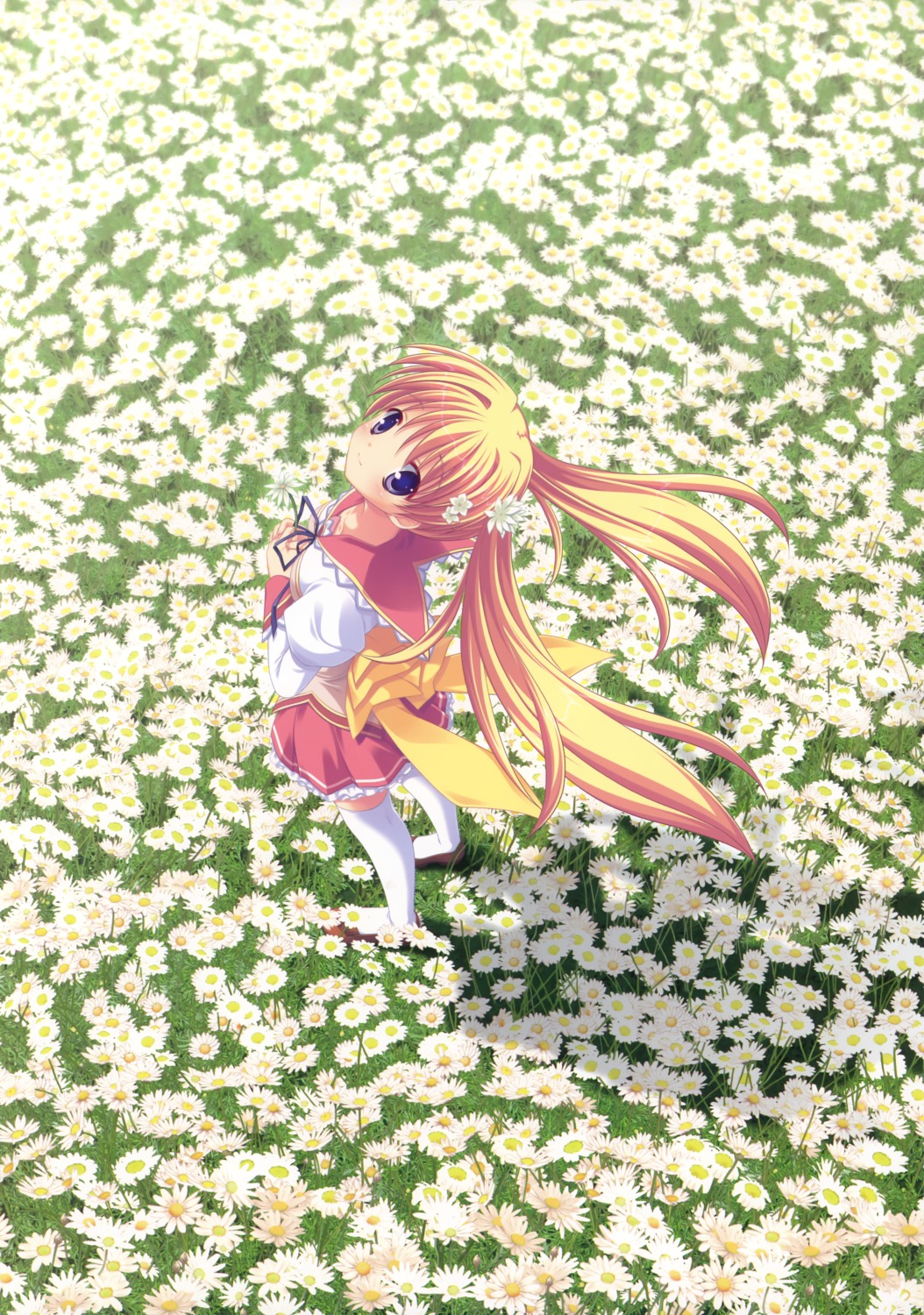 konohana_matsuri, marguerite_sphere, thighhighs, yuyi
