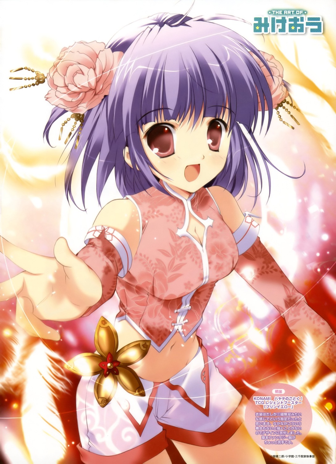 chinadress, hayate_no_gotoku, mikeou, segawa_izumi