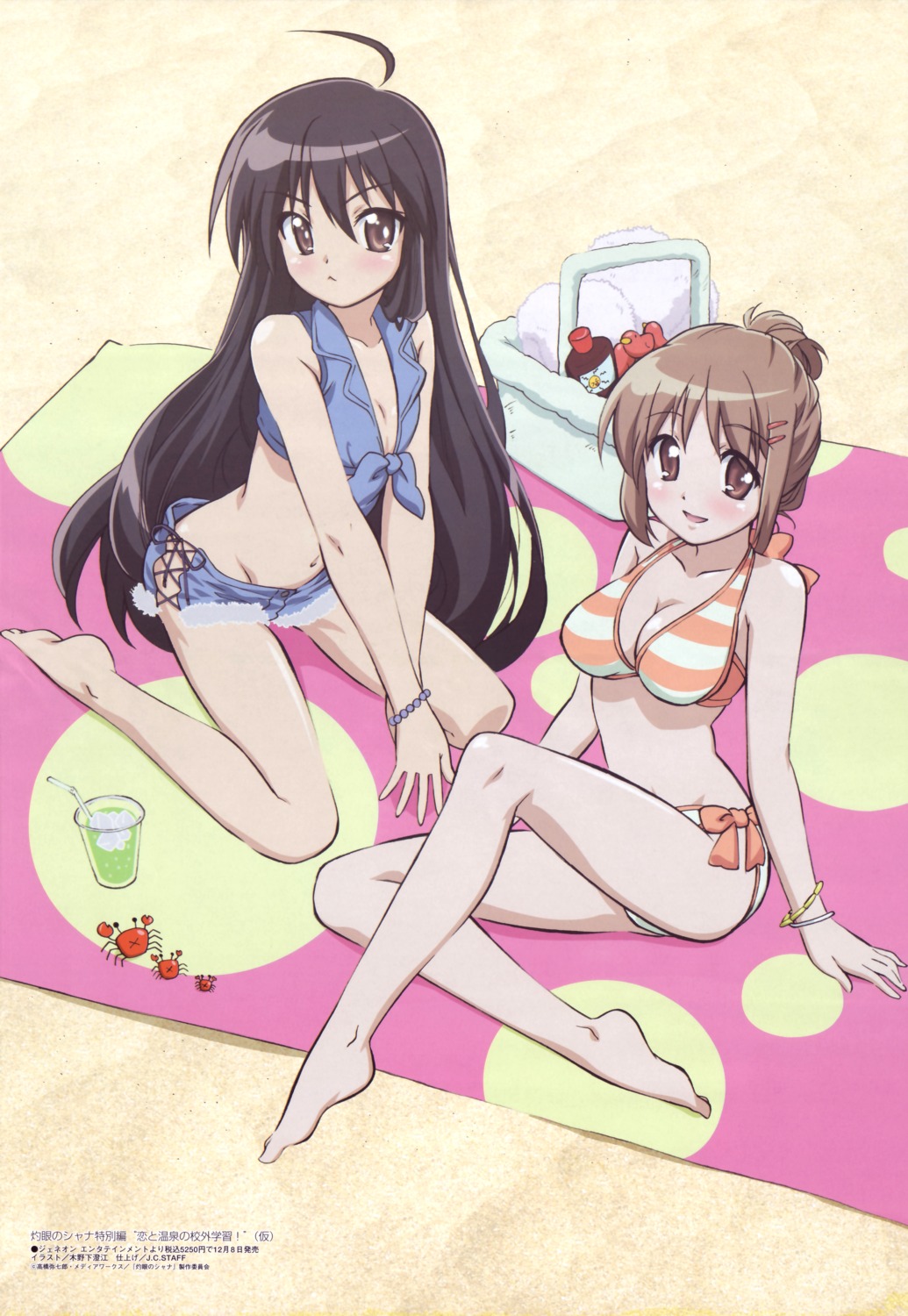 bikini, cleavage, kinoshita_sumie, shakugan_no_shana, shana, swimsuits, yoshida_kazumi