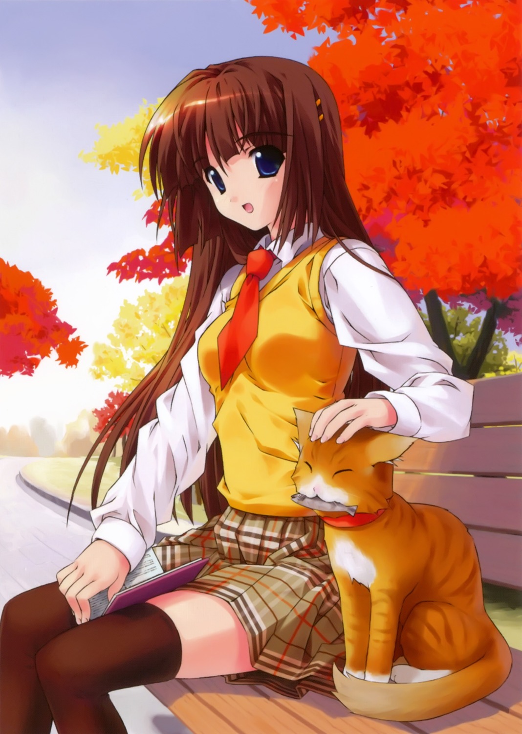kinohara_hikaru, neko, seifuku, thighhighs
