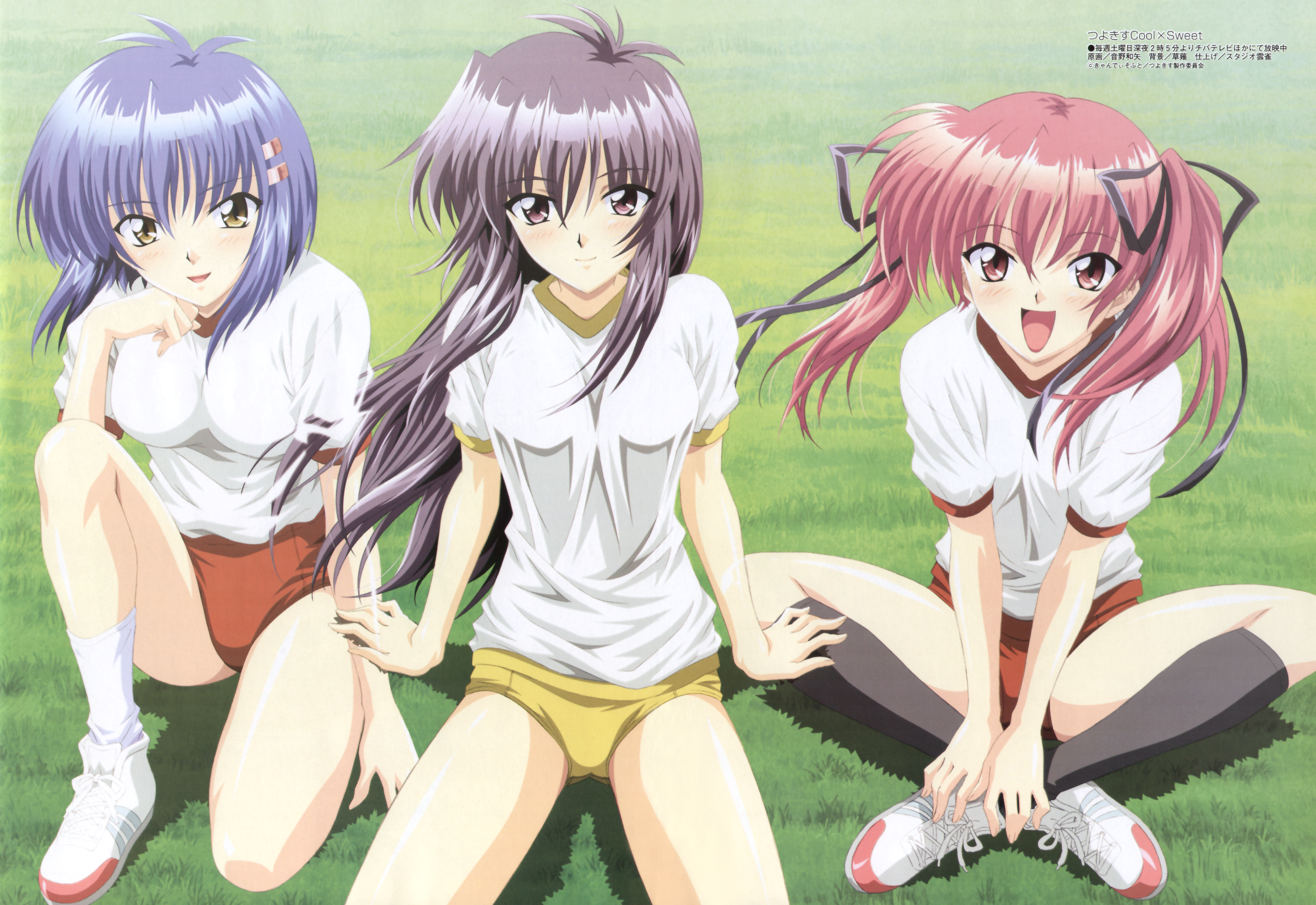 buruma, gym_uniform, konoe_sunao, kurogane_otome, otono_tomoya, tsuyokiss, yashi_nagomi
